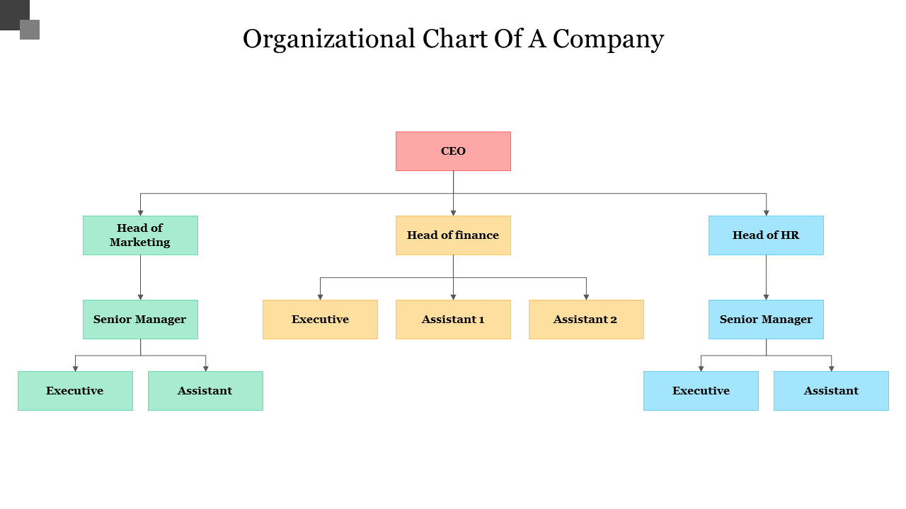Editable Organizational Chart Of A Company PowerPoint